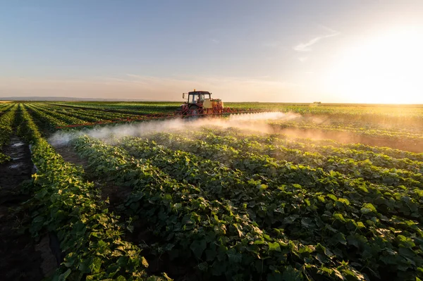 Trator Pulverização Pesticidas Campo Vegetal Com Pulverizador Primavera — Fotografia de Stock