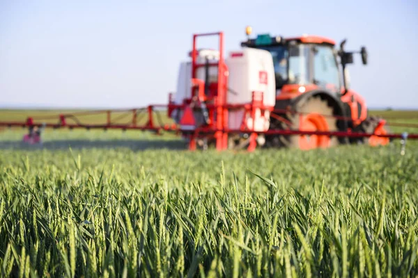 Tractor Die Pesticiden Spuit Een Groen Veld — Stockfoto