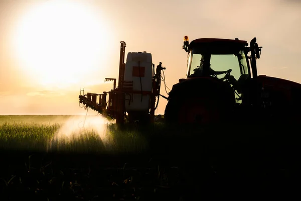 Tractor Die Pesticiden Spuit Een Groen Veld — Stockfoto