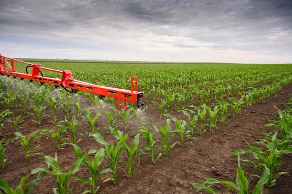 Traktor Penyemprotan Pestisida Ladang Jagung Dengan Penyemprot Musim Semi — Stok Foto