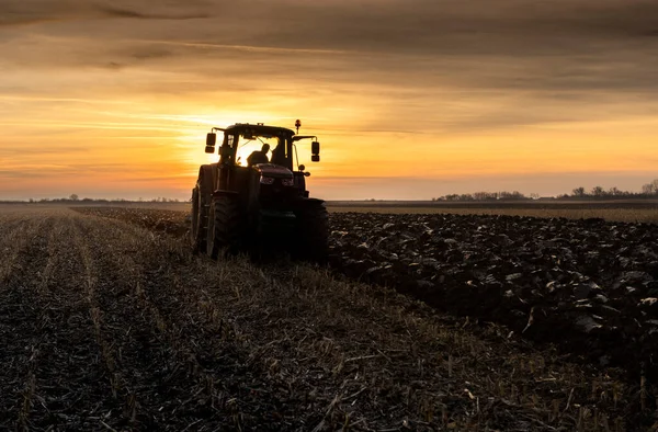 Traktor Pflügt Abends Bei Sonnenuntergang Das Feld — Stockfoto