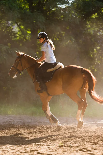 Jeune Jolie Fille Chevauchant Cheval — Photo