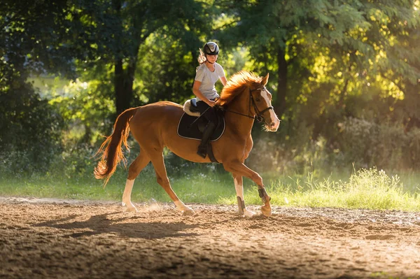 Ένα Νεαρό Όμορφο Κορίτσι Ιππεύει Ένα Άλογο — Φωτογραφία Αρχείου