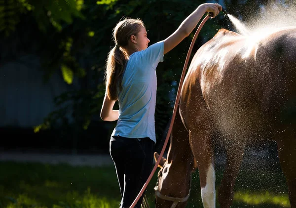 girl performs care treatments. Horse care