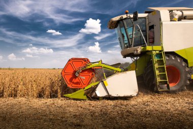 Buğday tarlasında çalışan bir biçerdöver.