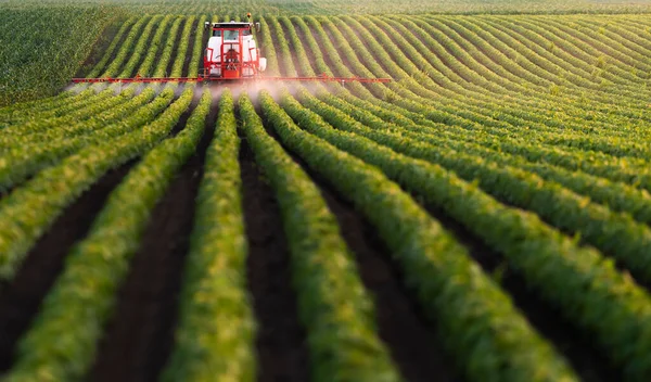 Rozpylanie Pestycydów Polu Sojowym Pomocą Opryskiwacza Wiosną — Zdjęcie stockowe