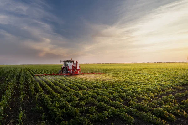 Traktor Penyemprotan Pestisida Lahan Kedelai Dengan Penyemprot Pada Musim Semi — Stok Foto