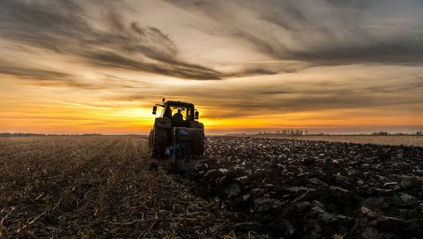 トラクターは夕暮れ時に畑を耕し — ストック写真