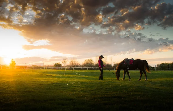 Silhouette Young Girl Horse Sunset — Stock Photo, Image