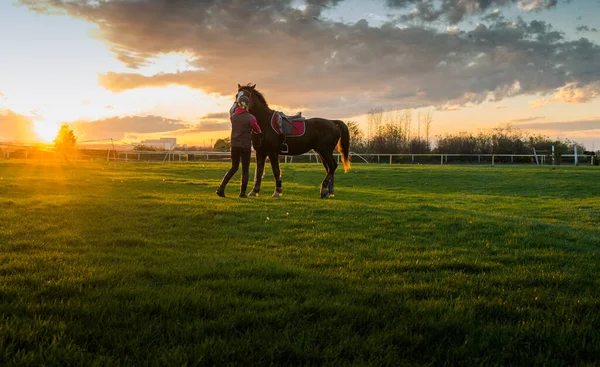 Silhouet Van Een Jong Meisje Met Paard Bij Zonsondergang — Stockfoto