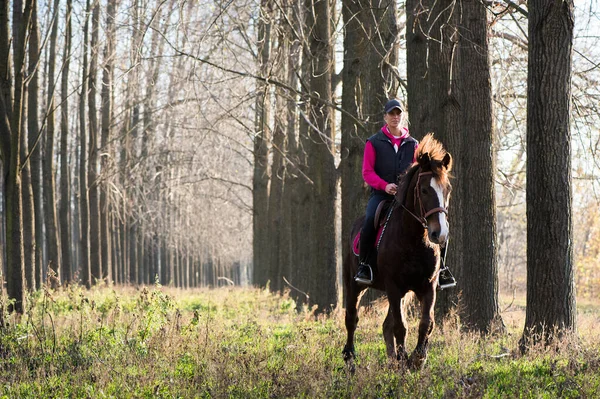 Gadis Menunggang Kuda Hutan Musim Gugur — Stok Foto
