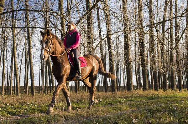 Girl Riding Horse Autumn Forest — Stock Photo, Image