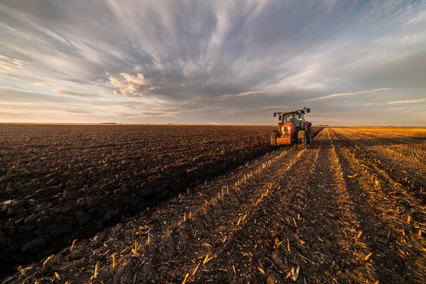 Traktor Plogar Fältet Kvällen Vid Solnedgången — Stockfoto