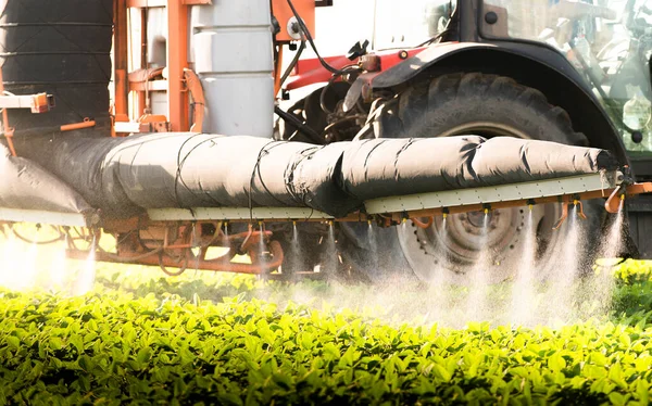 Trator Pulverizando Pesticidas Campo Soja Com Pulverizador Primavera — Fotografia de Stock