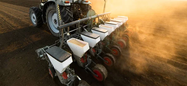 Agricultor Com Semeadura Tratores Semeando Culturas Campo Agrícola Plantas Trigo — Fotografia de Stock