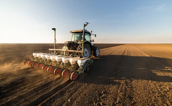 Agricultor Con Siembra Tractores Siembra Cultivos Campo Agrícola Plantas Trigo — Foto de Stock