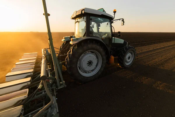 Traktör tohumu eken bir çiftçi. Tarım tarlasına ekin ekiyor. Bitkiler, buğday.