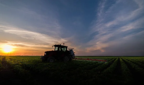 春には散布機で大豆畑に農薬を散布するトラクター — ストック写真