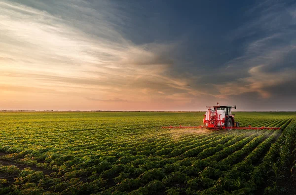 Trekker Sproeien Pesticiden Soja Veld Met Sproeiapparaat Het Voorjaar — Stockfoto