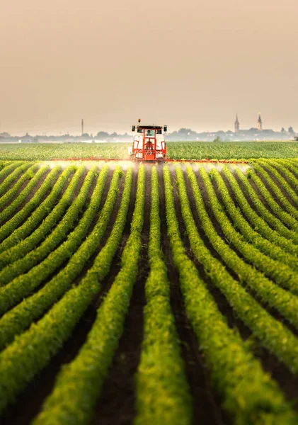 Tractor Rociando Pesticidas Campo Soja Con Pulverizador Primavera — Foto de Stock