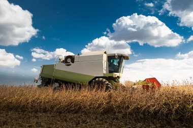 Buğday tarlasında çalışan bir biçerdöver.