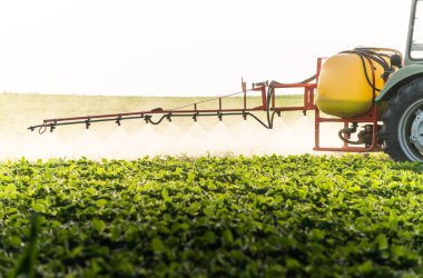 Traktör baharda soya tarlasına böcek ilacı püskürtüyor.