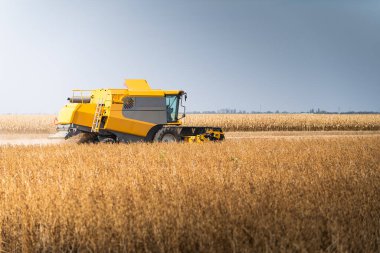 Buğday tarlasında çalışan bir biçerdöver.