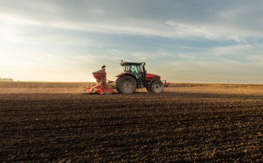 Traktör tohumu eken bir çiftçi. Tarım tarlasına ekin ekiyor. Bitkiler, buğday.