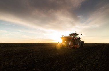 Traktör tohumu eken bir çiftçi. Tarım tarlasına ekin ekiyor. Bitkiler, buğday.