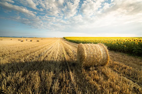 Campo Stoppie Con Balle Fieno Sotto Cielo Estivo — Foto Stock