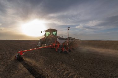 Traktör tohumu eken bir çiftçi. Tarım tarlasına ekin ekiyor. Bitkiler, buğday.