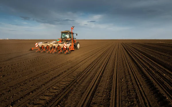 Jordbrukare Med Traktorsådd Sådd Jordbruksmark Växter Vete — Stockfoto