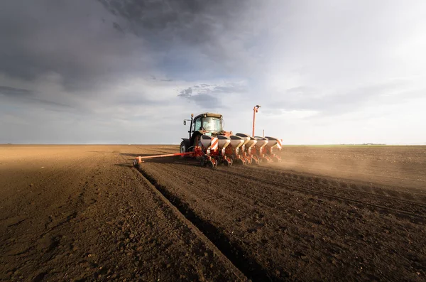 Agriculteur Avec Semis Tracteur Semis Cultures Dans Champ Agricole Plantes — Photo