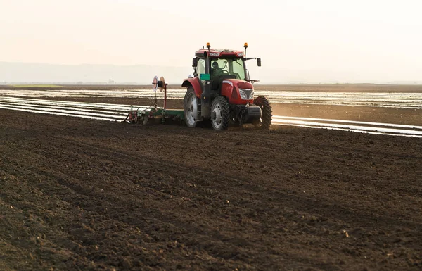 Łóżko Tworzywa Sztucznego Mulch Układanie Produkcji Roślinnej — Zdjęcie stockowe