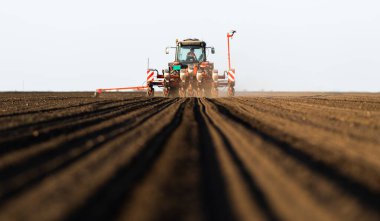 Traktör tohumu eken bir çiftçi. Tarım tarlasına ekin ekiyor. Bitkiler, buğday.