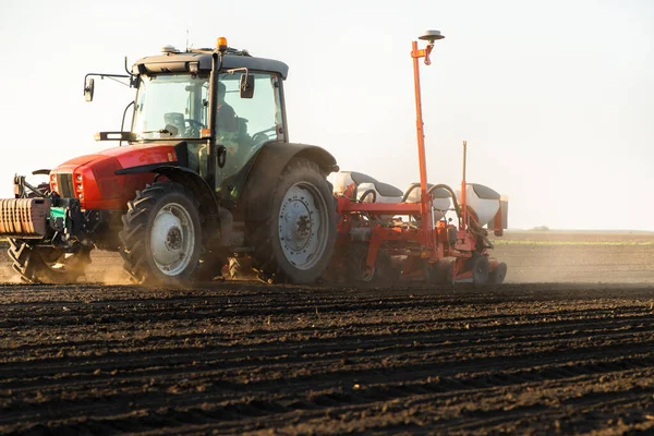 Agricultor Con Siembra Tractores Siembra Cultivos Campo Agrícola Plantas Trigo — Foto de Stock