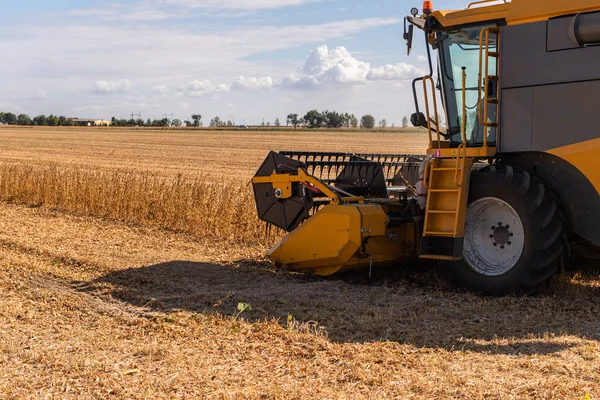 Ein Mähdrescher Bei Der Arbeit Auf Einem Weizenfeld — Stockfoto