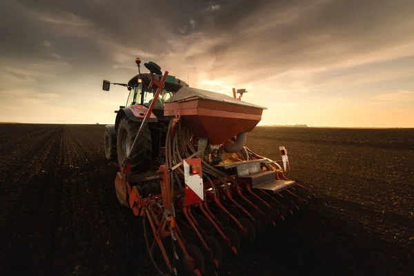 Landwirt Mit Traktoraussaat Aussaat Von Feldfrüchten Pflanzen Weizen — Stockfoto