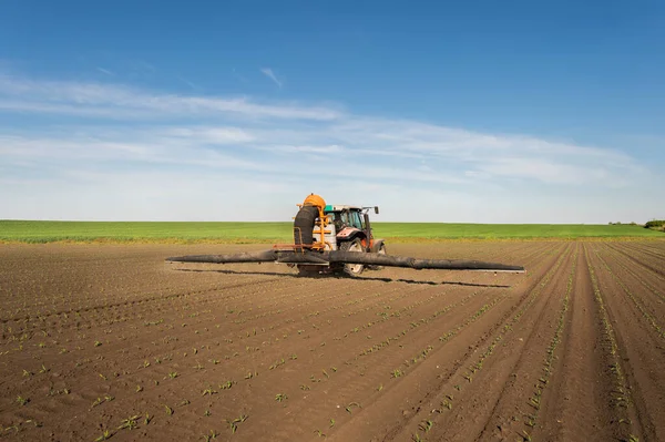 Trekker Sproeien Pesticiden Maïsveld Met Sproeiapparaat Het Voorjaar — Stockfoto