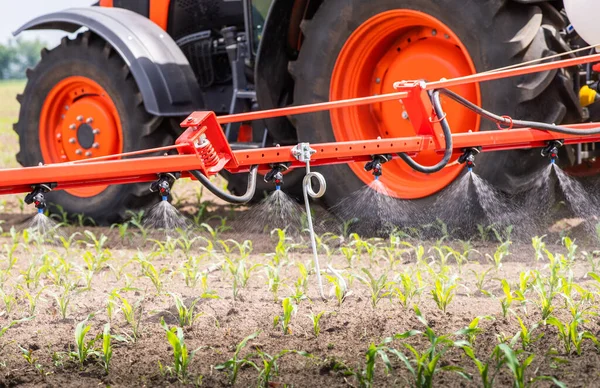 Trattore Spruzzo Pesticidi Sul Campo Mais Con Spruzzatore Primavera — Foto Stock