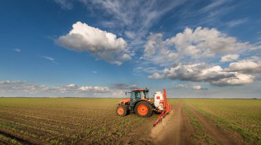 Traktör bahar aylarında mısır tarlasına böcek ilacı püskürtüyor.