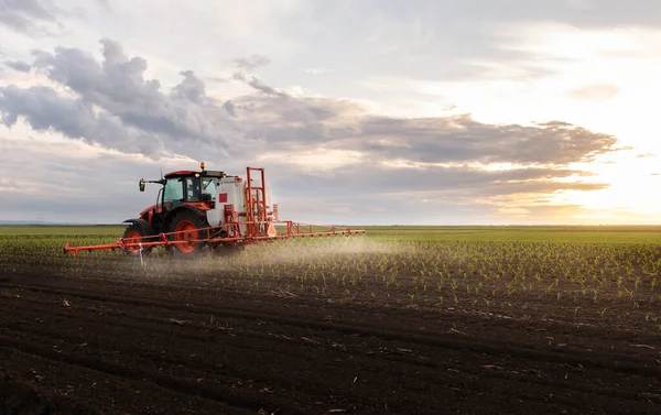 Traktor Versprüht Frühjahr Pestizide Auf Maisfeld Mit Sprüher — Stockfoto