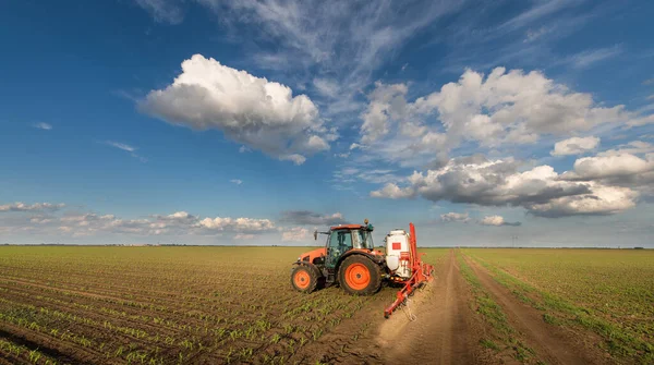 Traktor Versprüht Frühjahr Pestizide Auf Maisfeld Mit Sprüher — Stockfoto