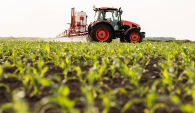 Tractor spraying pesticides on corn field  with sprayer at spring clipart