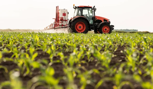 Pulvérisation Pesticides Par Tracteur Sur Champ Maïs Avec Pulvérisateur Printemps — Photo