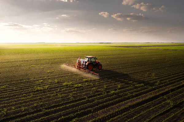 Trekker Sproeien Pesticiden Soja Veld Met Sproeiapparaat Het Voorjaar — Stockfoto