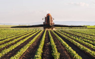 Traktör baharda soya tarlasına böcek ilacı püskürtüyor.