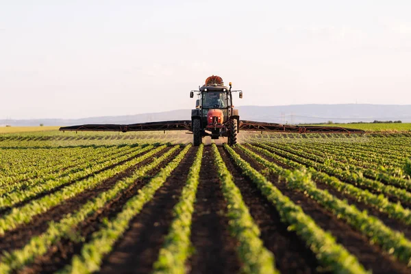 Trekker Sproeien Pesticiden Soja Veld Met Sproeiapparaat Het Voorjaar — Stockfoto