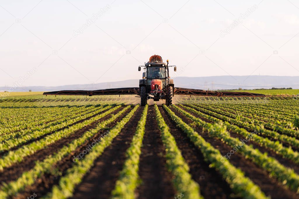 Tractor spraying pesticides on soy field  with sprayer at spring