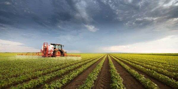 Trator Pulverizando Pesticidas Campo Soja Com Pulverizador Primavera — Fotografia de Stock